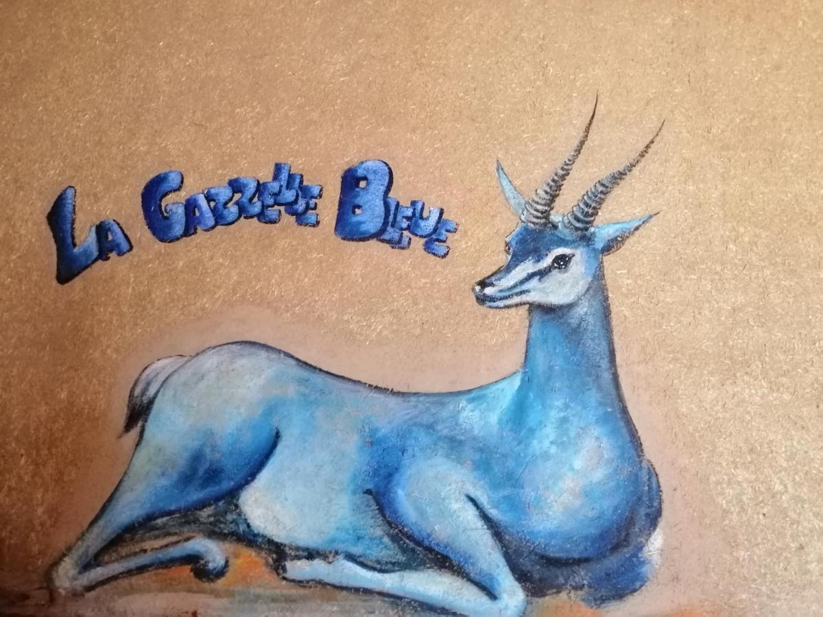 梅尔祖卡 La Gazelle Bleue酒店 外观 照片